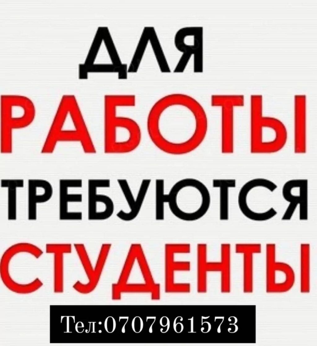 Заказать Работу Студенту Недорого