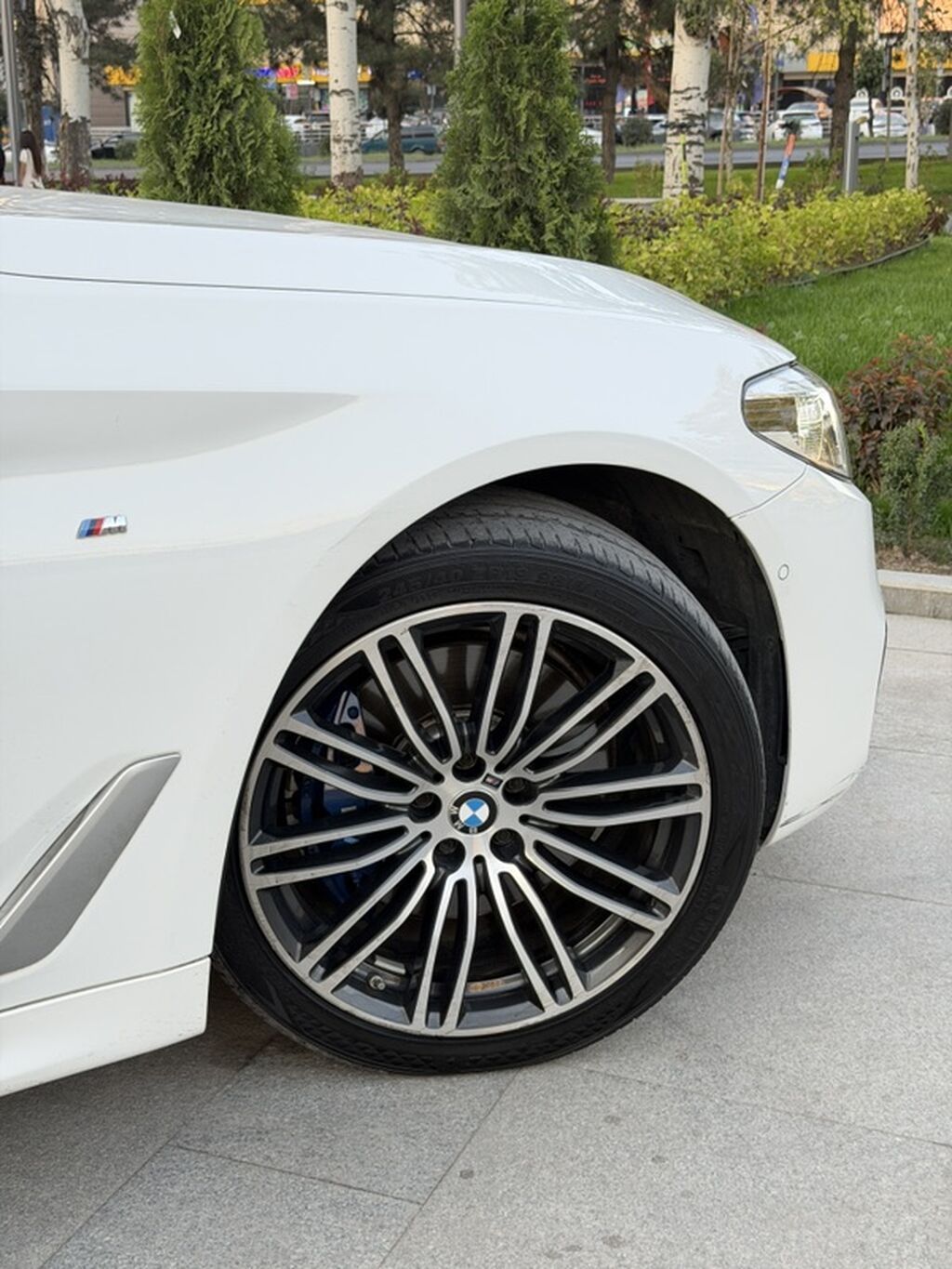 BMW 530: 2019 г., 2 л, Автомат, Бензин, Седан: фото 6