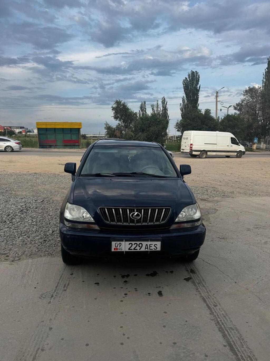 Lexus RX: 2002 г., 3 л, Автомат, Газ, Кроссовер: фото 2