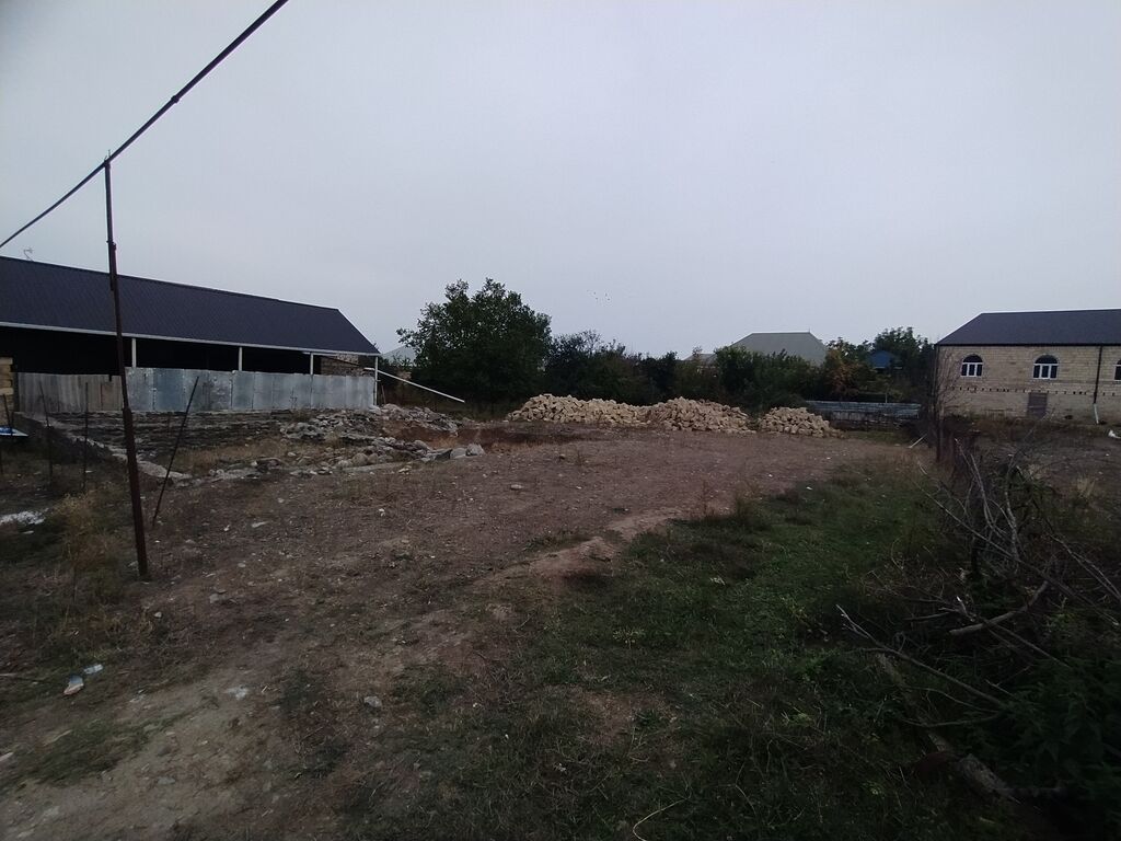 Tikinti, Kupça (Çıxarış)