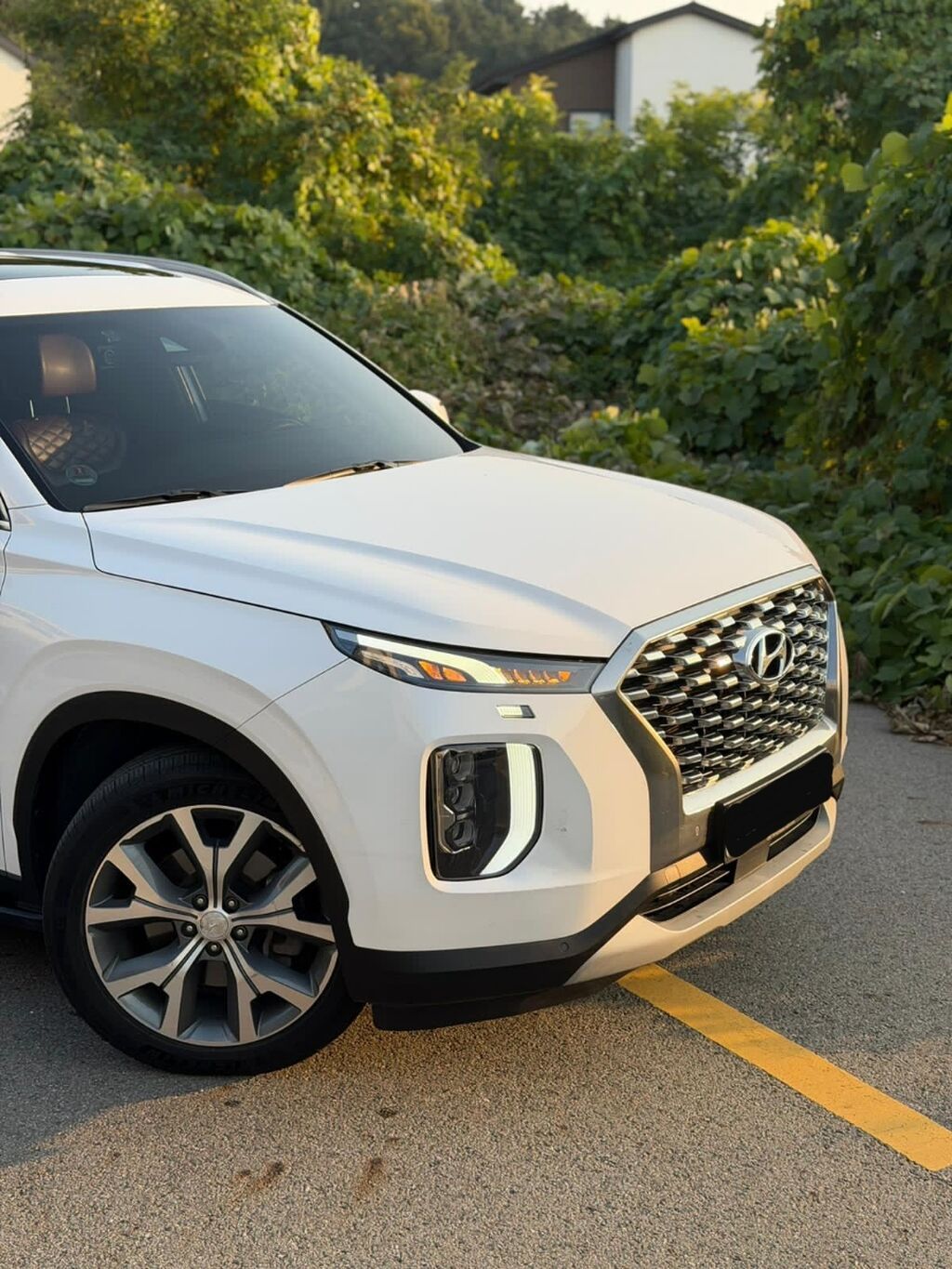 Hyundai Palisade: 2019 г., 2.2 л, Автомат, Дизель, Кроссовер: фото 2