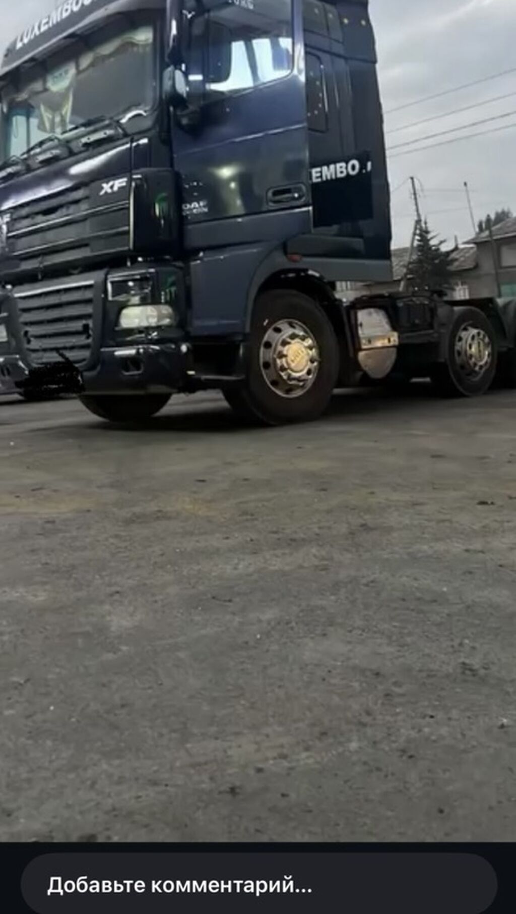Тягач, DAF, Трал: фото 4