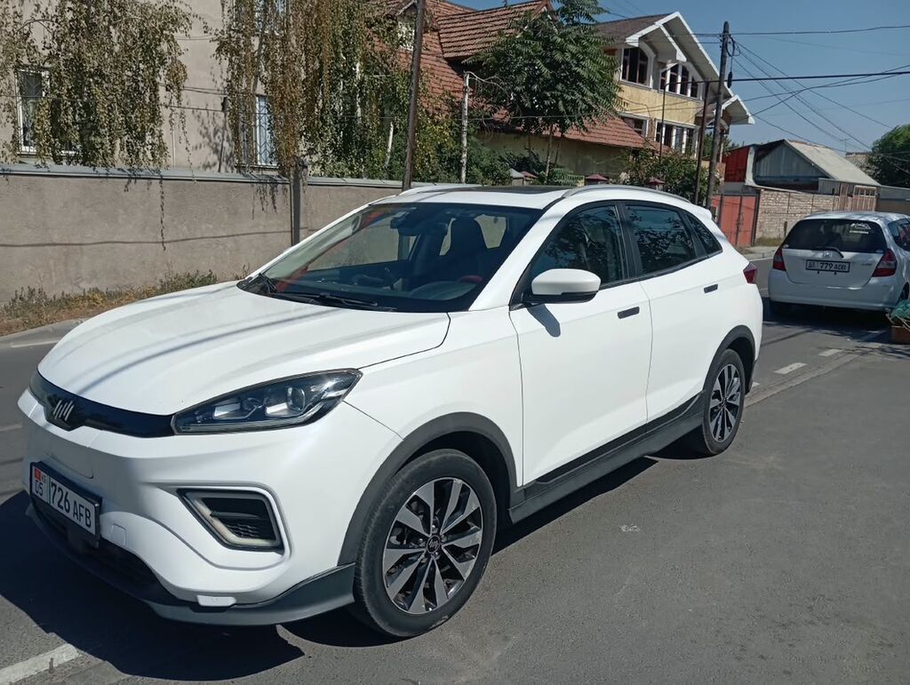 Weltmeister EX5