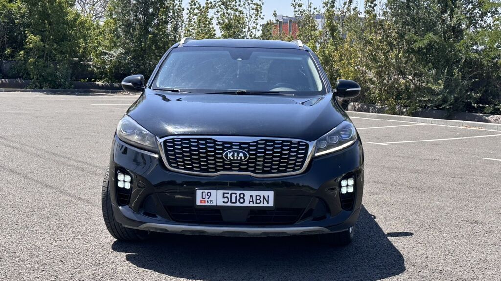 Kia Sorento: 2019 г., 2.2 л, Автомат, Дизель, Кроссовер: фото 1
