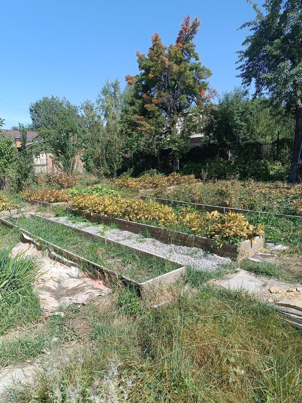 Продается участок 8 соток с домом и подвалом, 15 мин от Бишкека: фото 3