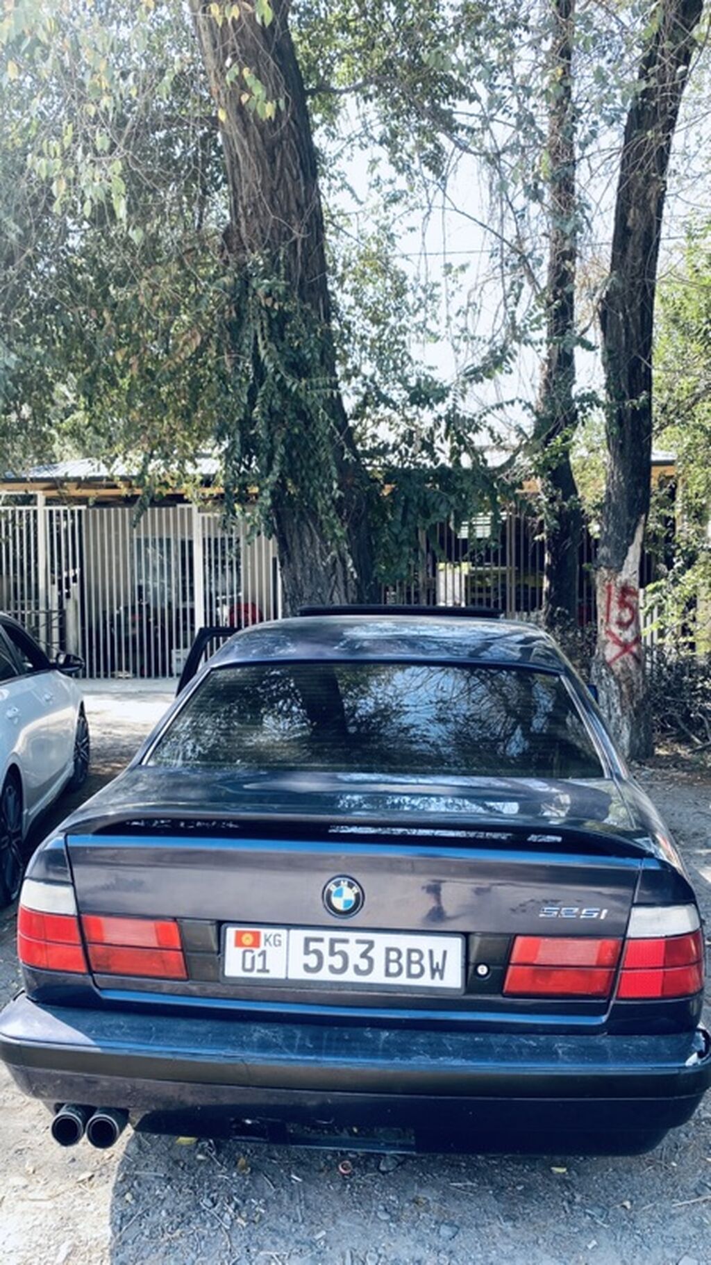 BMW 525: 1992 г., 2.5 л, Механика, Бензин, Седан: фото 3