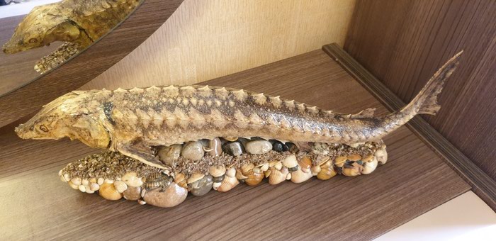 Digər ev dekoru: - lalafo.az Xırdalan şəhərində