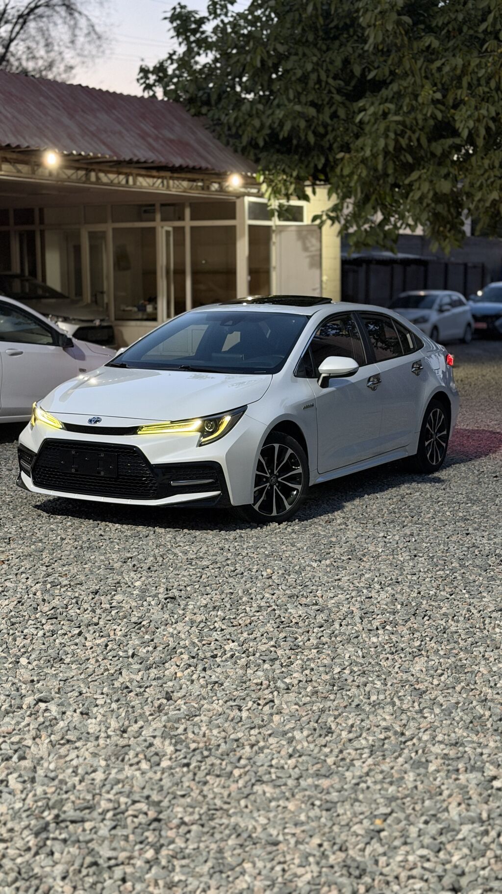 Toyota Levin: 2021 г., 1.8 л, Вариатор, Гибрид, Седан: фото 2