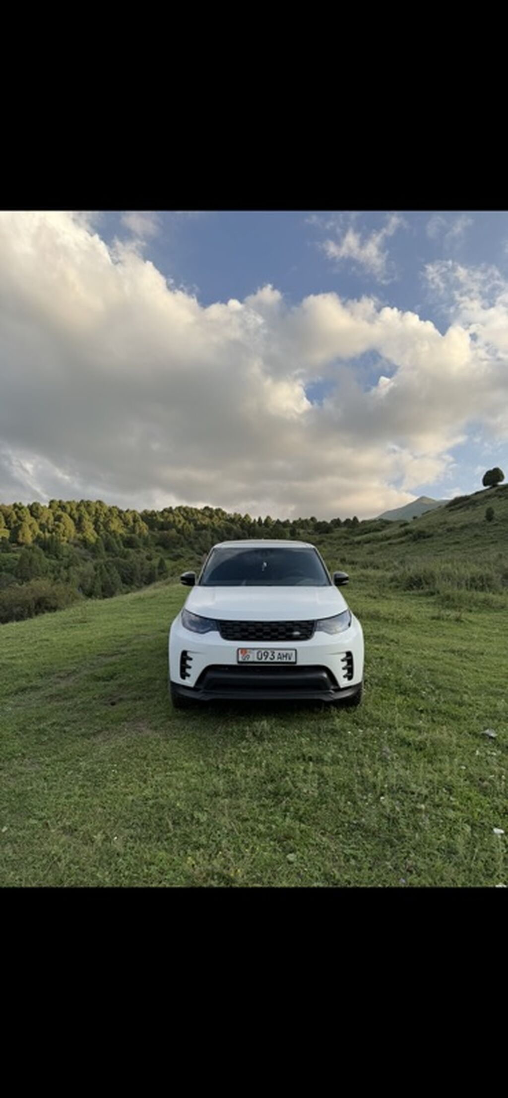 Land Rover Discovery: 2019 г., 3 л, Автомат, Бензин, Внедорожник: фото 2