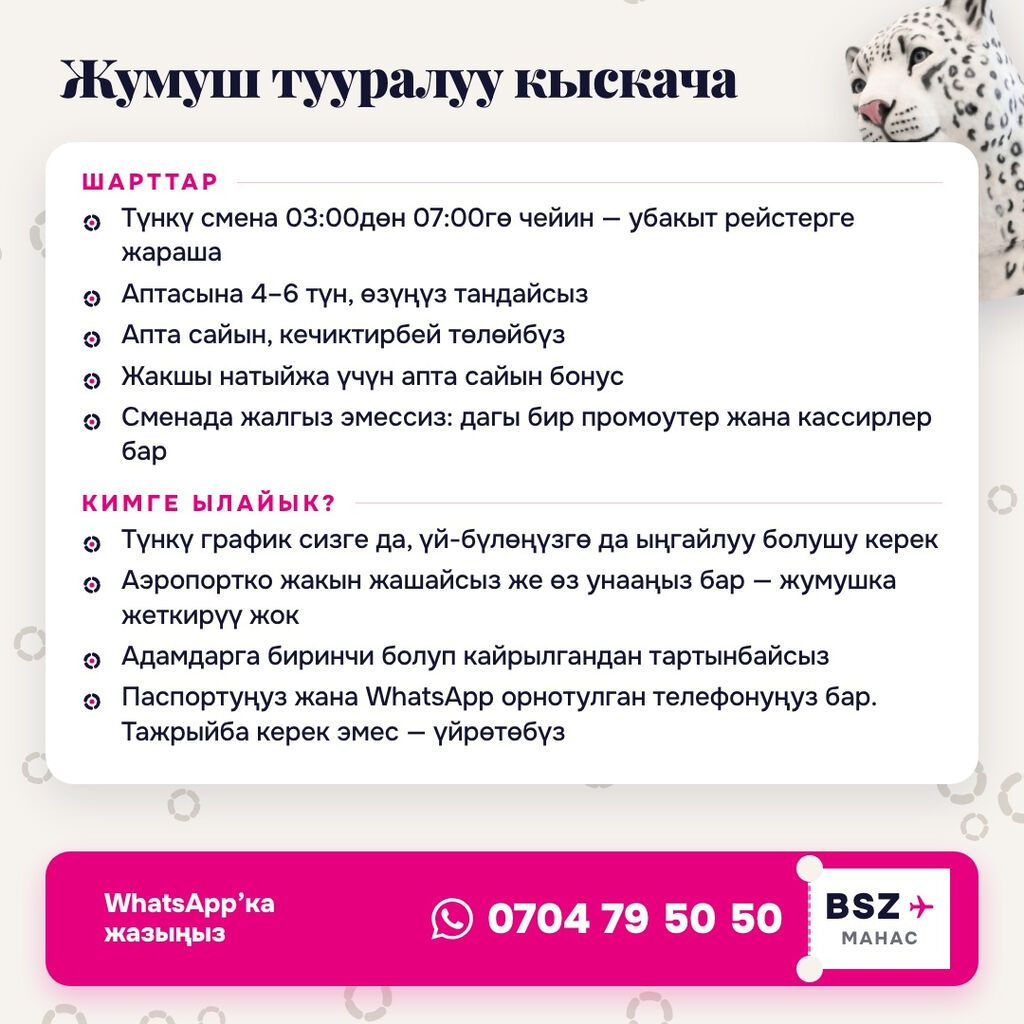 Требуется промоутер в аэропорт «Манас» на ночь, с 03:00 до 07:00: фото 3