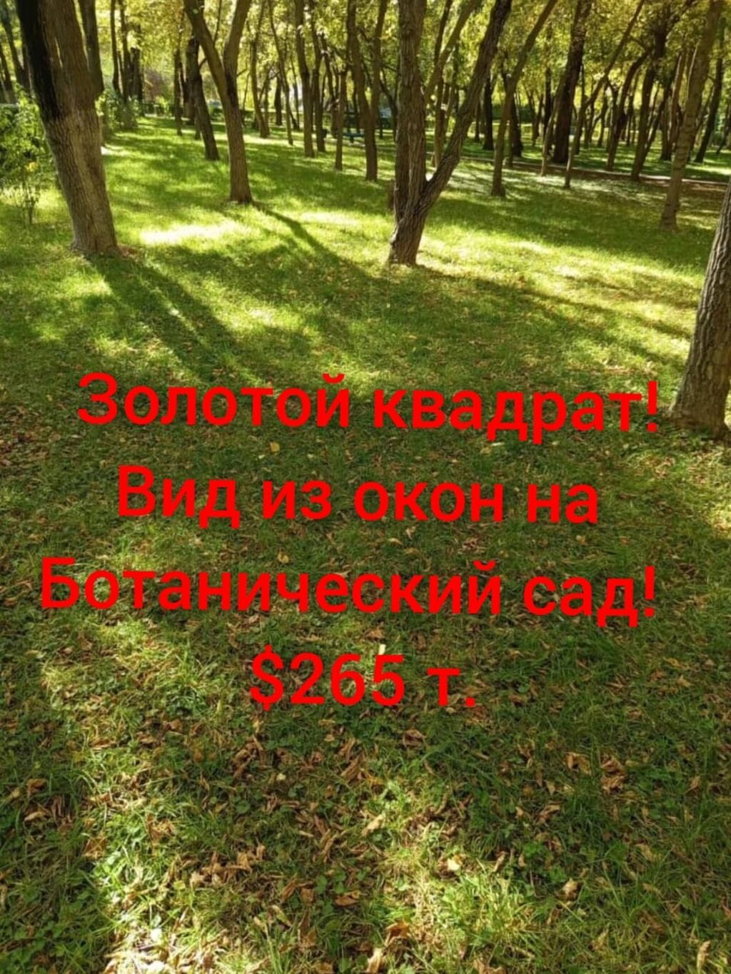 4 соток, Для строительства, Красная книга, Договор купли-продажи