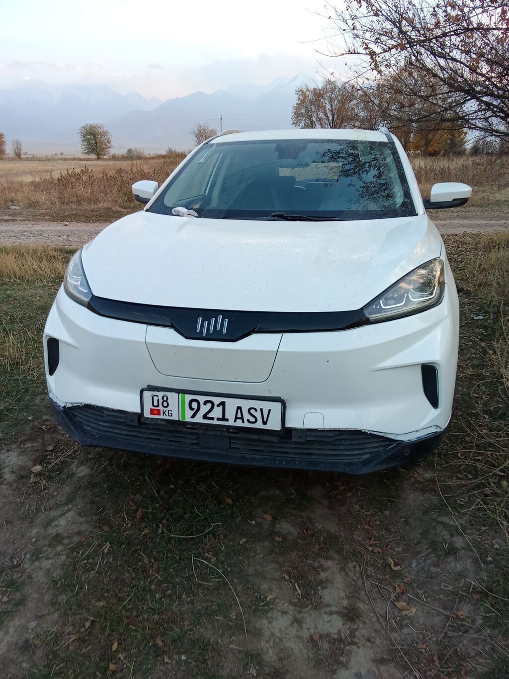 JMEV EX5: 2021 г., 0.4 л, Автомат, Электромобиль, Кроссовер: фото 6