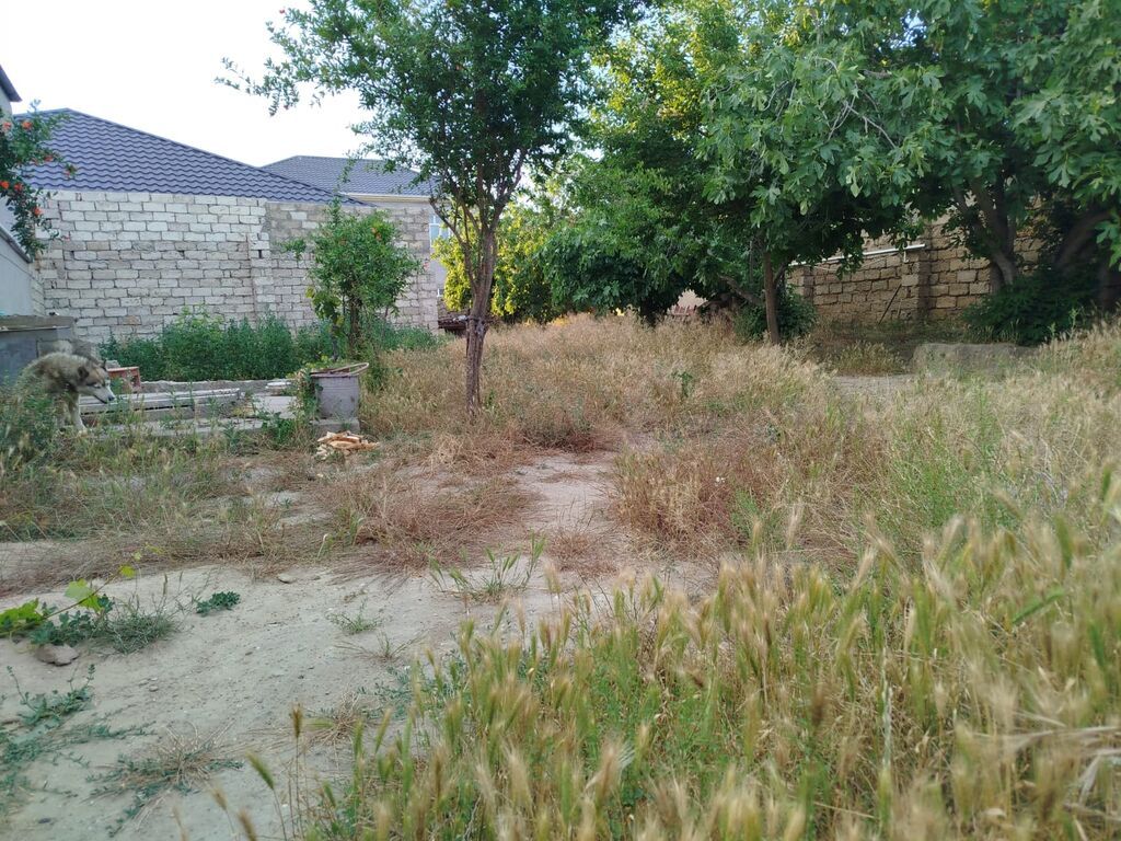 4 sot, Tikinti, Mülkiyyətçi, Kupça (Çıxarış)