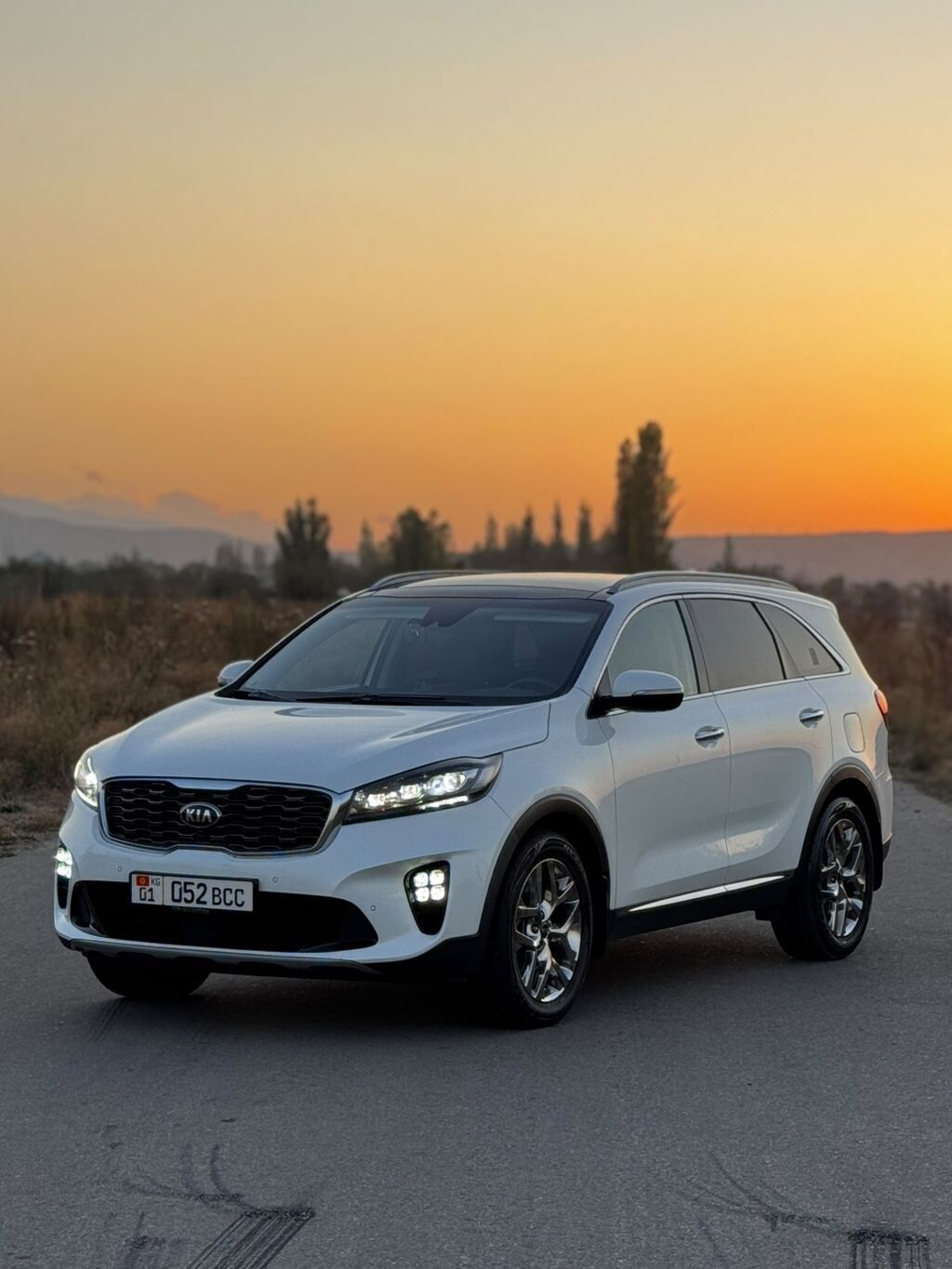 Kia Sorento: 2019 г., 2 л, Автомат, Бензин, Кроссовер: фото 1