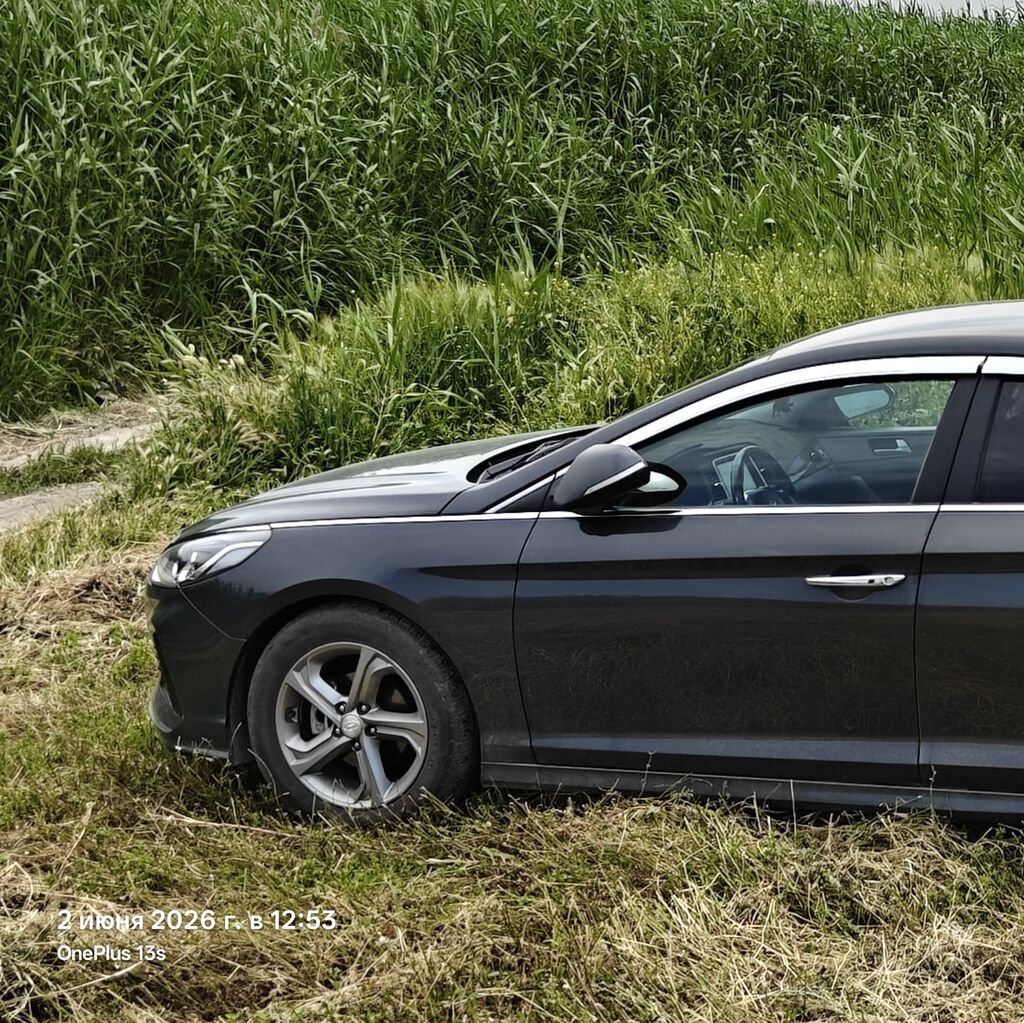 Hyundai Sonata: 2026 г., 2 л, Автомат, Бензин, Седан: фото 4