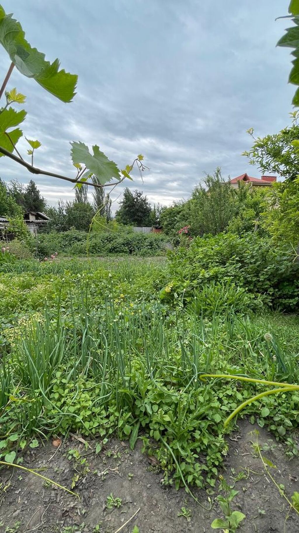 Продается участок 10 соток Ленинградская (Баялинова) и Турусбекова под