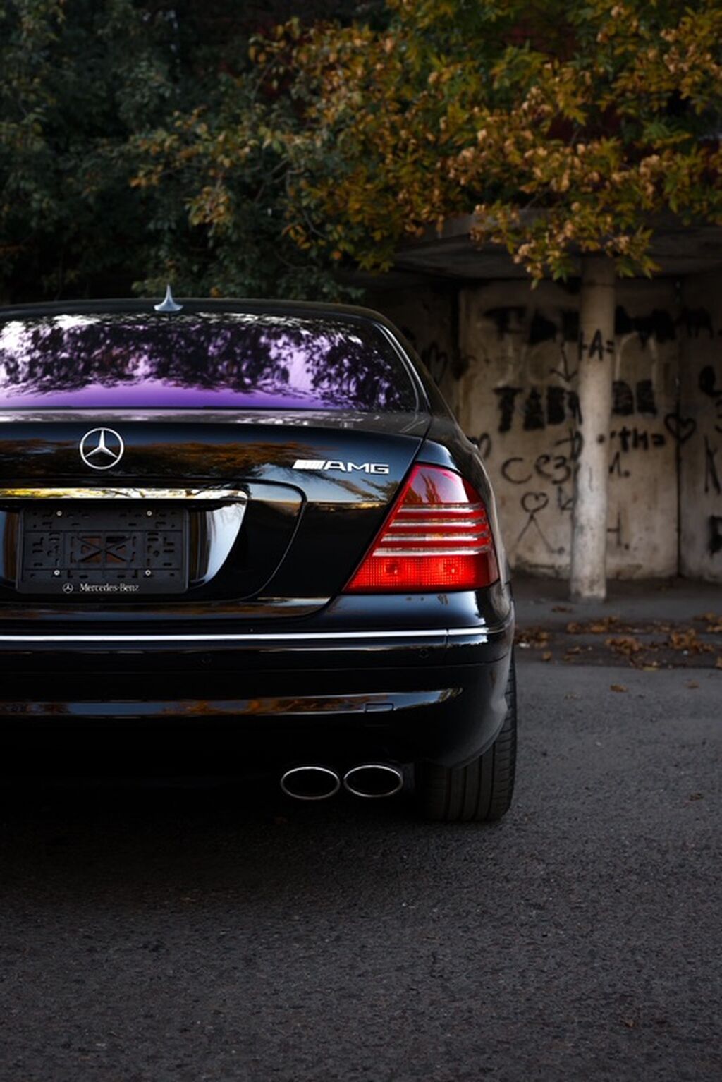 Mercedes-Benz S-Class: 2004 г., 5 л, Автомат, Бензин, Седан: фото 8