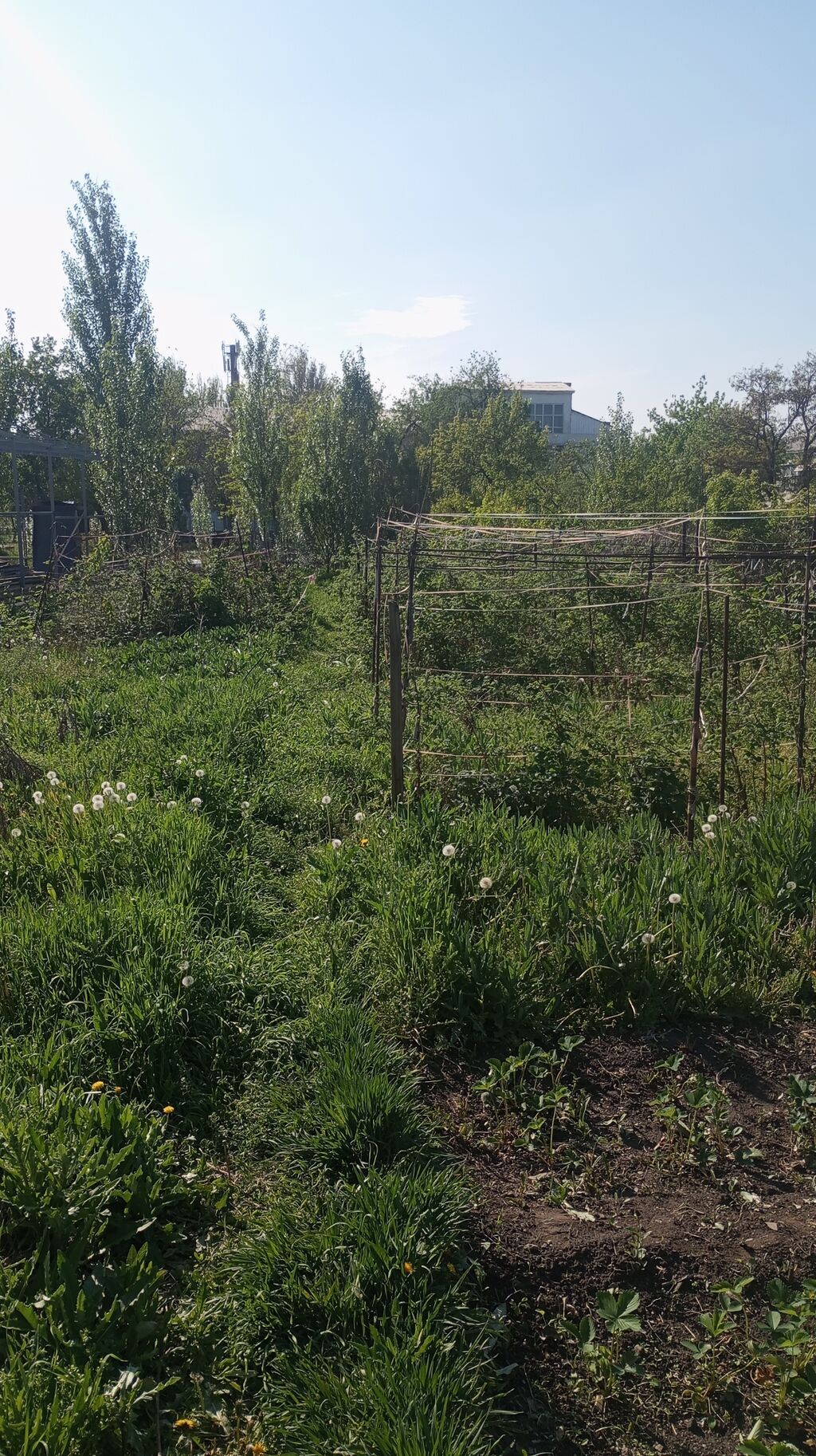 ТОРГ!!!! СРОЧНО ПРОДАЮ дом с участком 11 соток фактически ( на красной