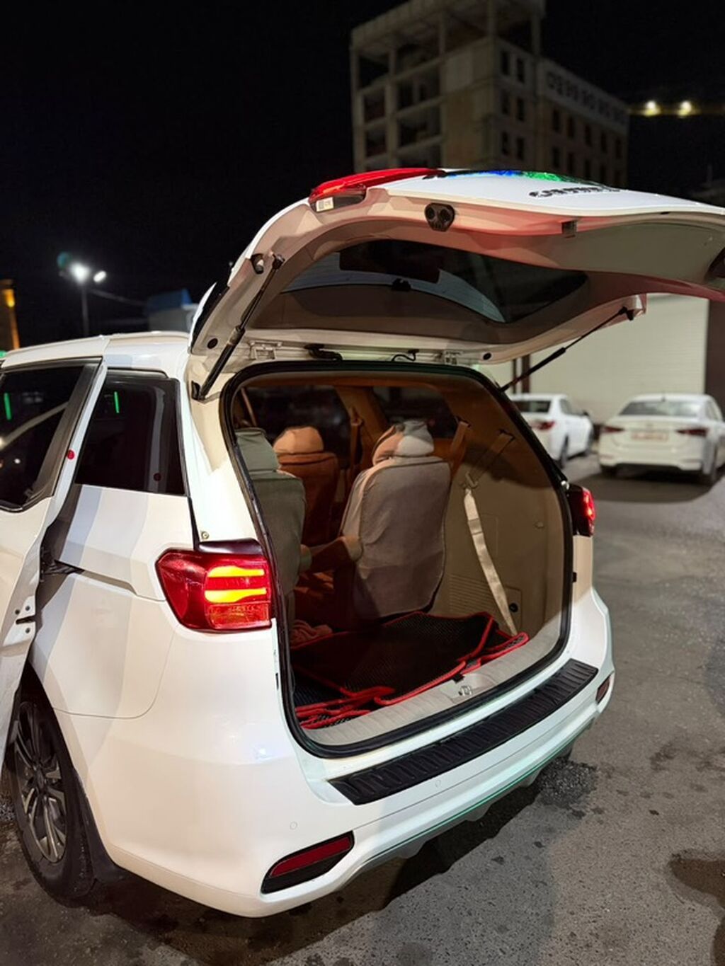 Kia Carnival: 2019 г., Минивэн: фото 3