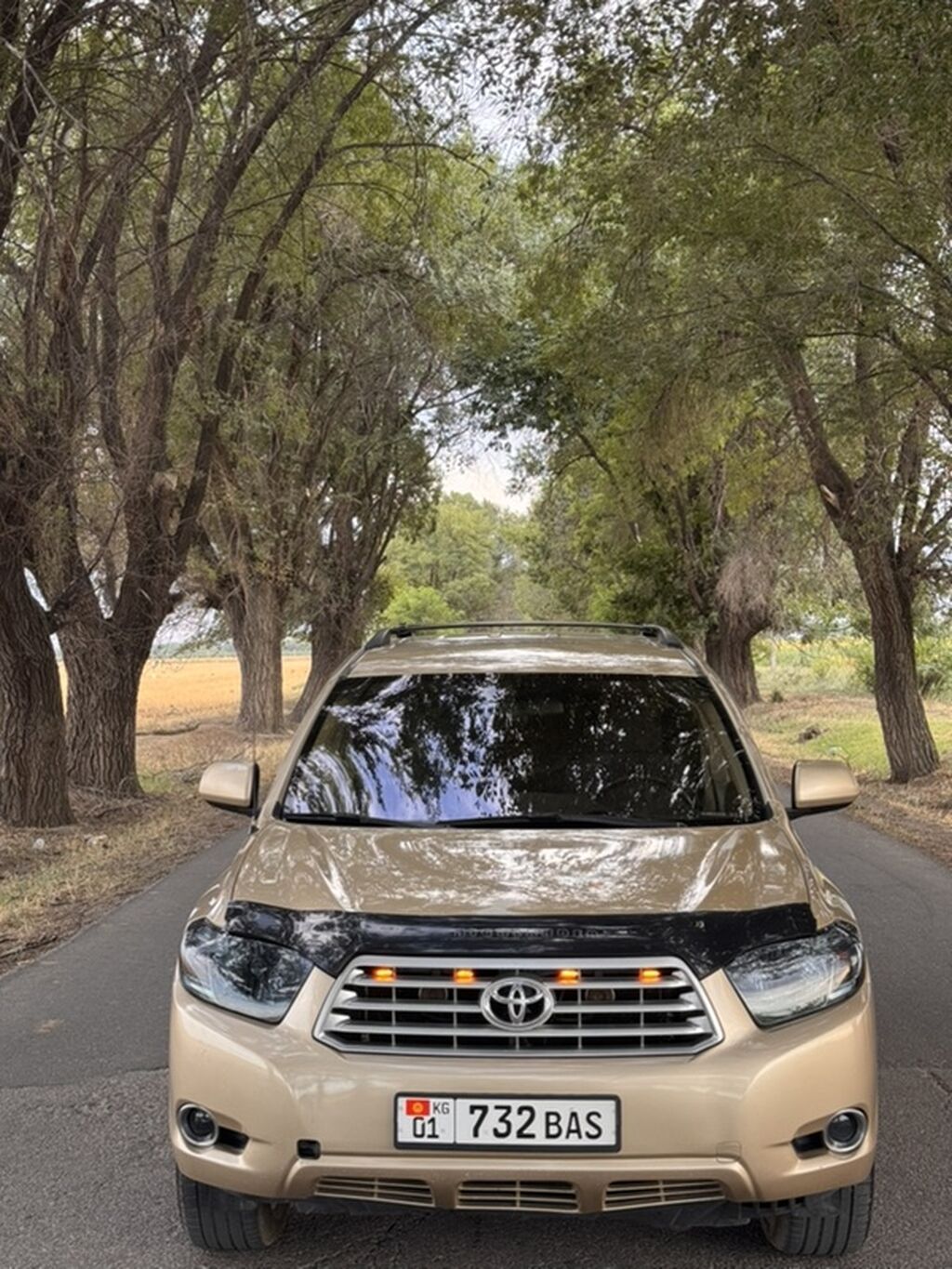 Toyota Highlander: 2008 г., 3.5 л, Автомат, Бензин, Кроссовер: фото 2