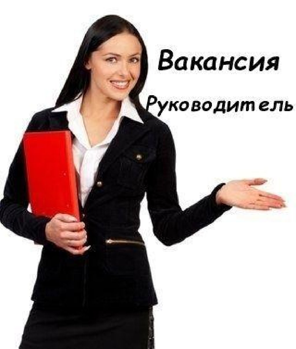 Вакансии начальник. Вакансия руководитель. Требуется сотрудник в отдел продаж. Вакансия руководитель отдела продаж. Ищем директора.