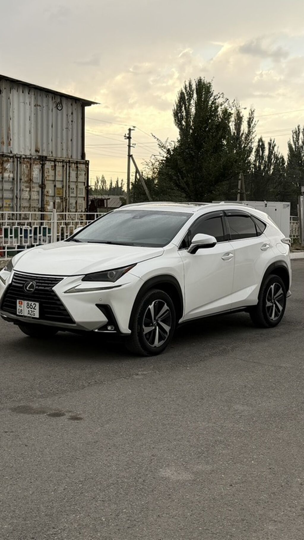 Lexus NX: 2019 г., 2 л, Гибрид, Кроссовер: фото 7
