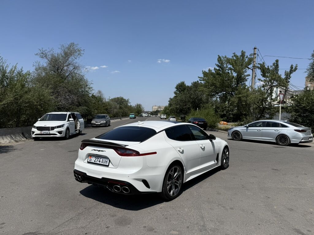 Kia Stinger: 2019 г., 2 л, Автомат, Бензин, Фастбек: фото 5