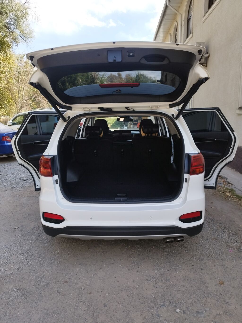 Kia Sorento: 2019 г., 0.2 л, Автомат, Дизель, Кроссовер: фото 8