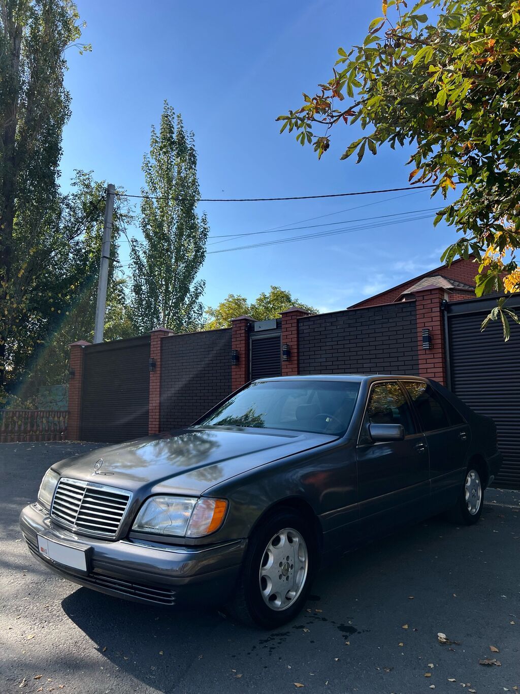 Mercedes-Benz S-Class: 1995 г., 5 л, Автомат, Бензин, Седан: фото 2