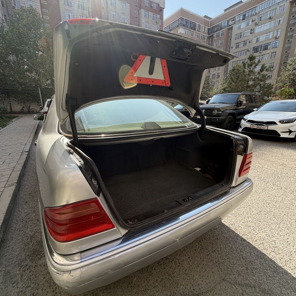 Mercedes-Benz E-Class: 1996 г., 3.2 л, Автомат, Бензин, Седан: фото 5
