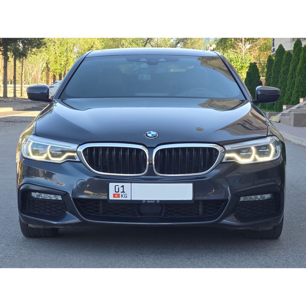 BMW 5 series: 2018 г., 2 л, Автомат, Бензин, Седан — фото 8