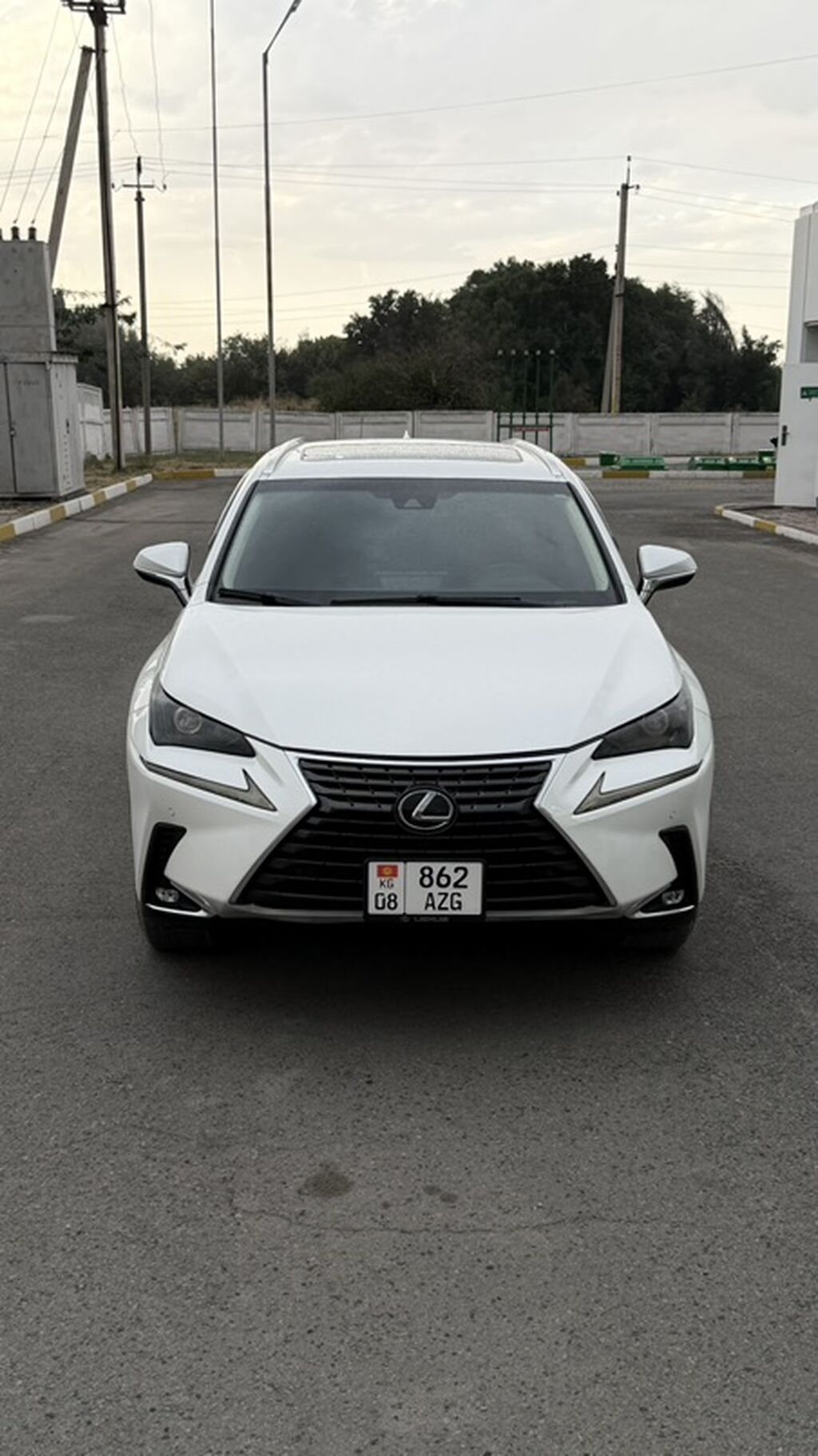 Lexus NX: 2019 г., 2 л, Гибрид, Кроссовер: фото 5