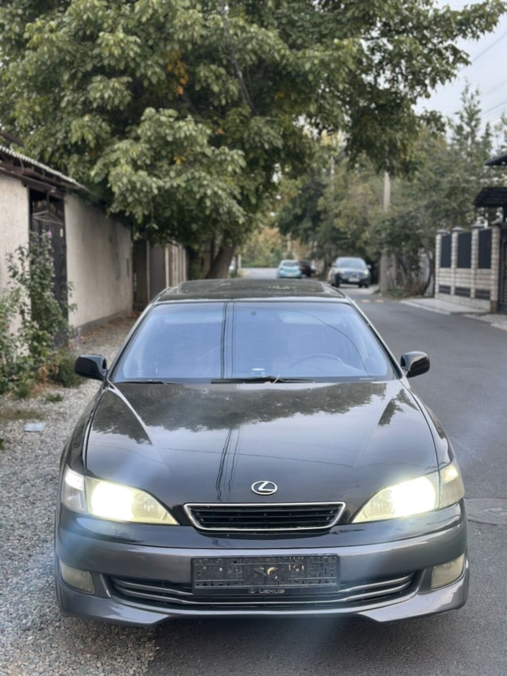 Lexus ES: 1997 г., 3 л, Автомат, Бензин, Седан: фото 6