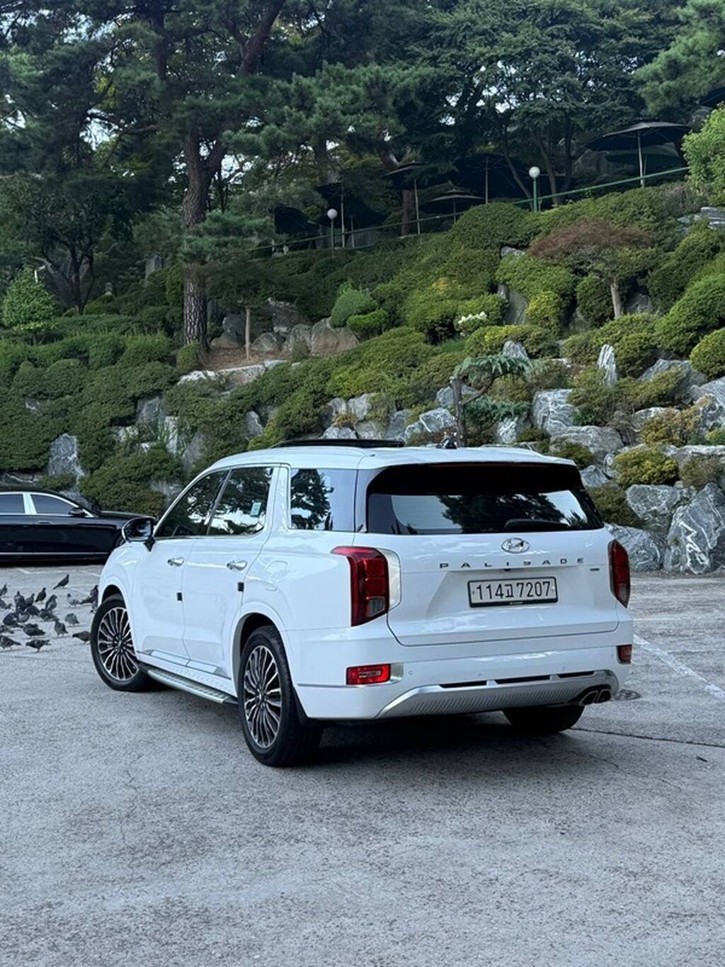 Hyundai Palisade: 2021 г., Кроссовер: фото 3