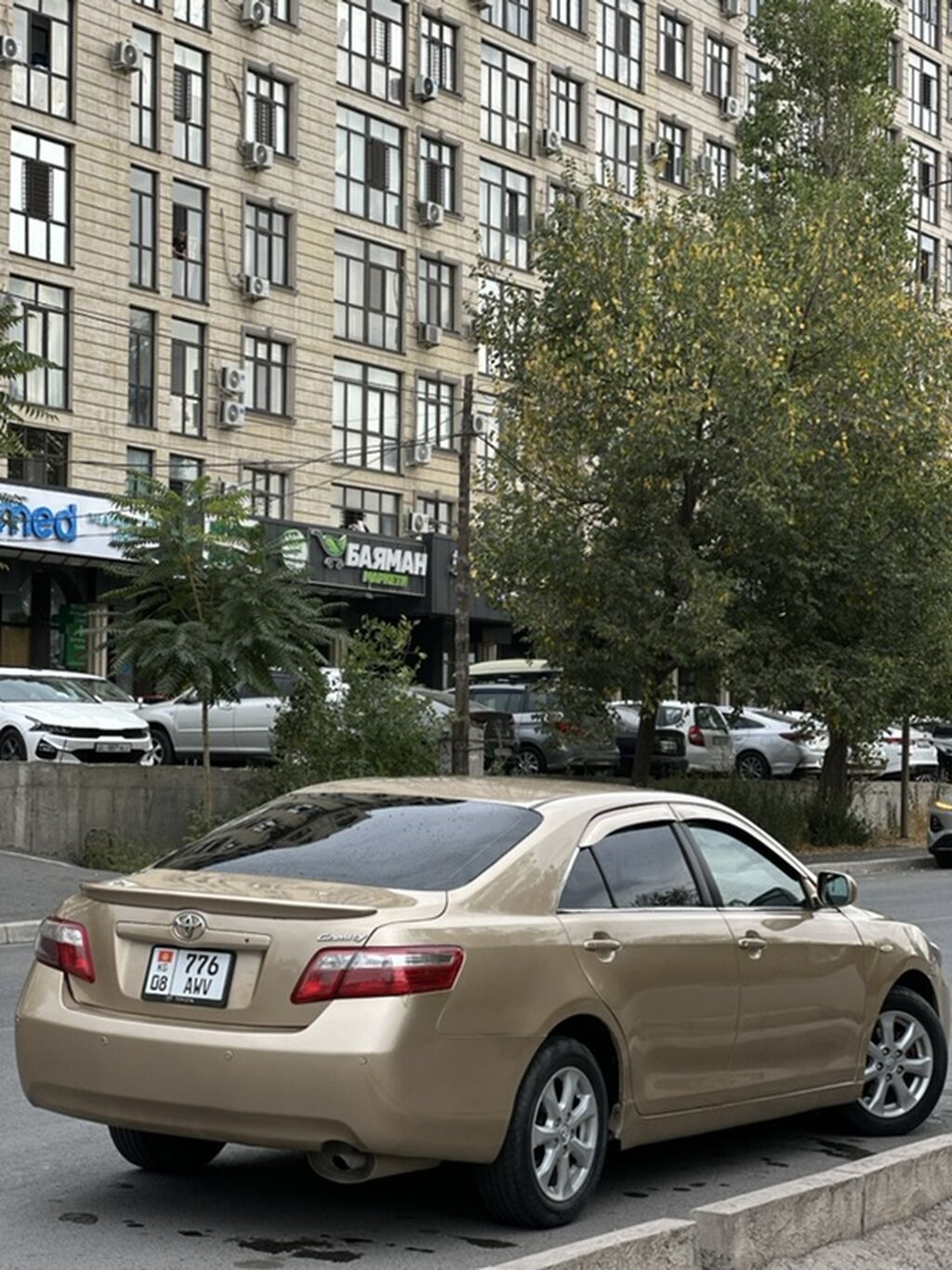 Toyota Camry: 2009 г., 2.4 л, Автомат, Газ, Седан: фото 6