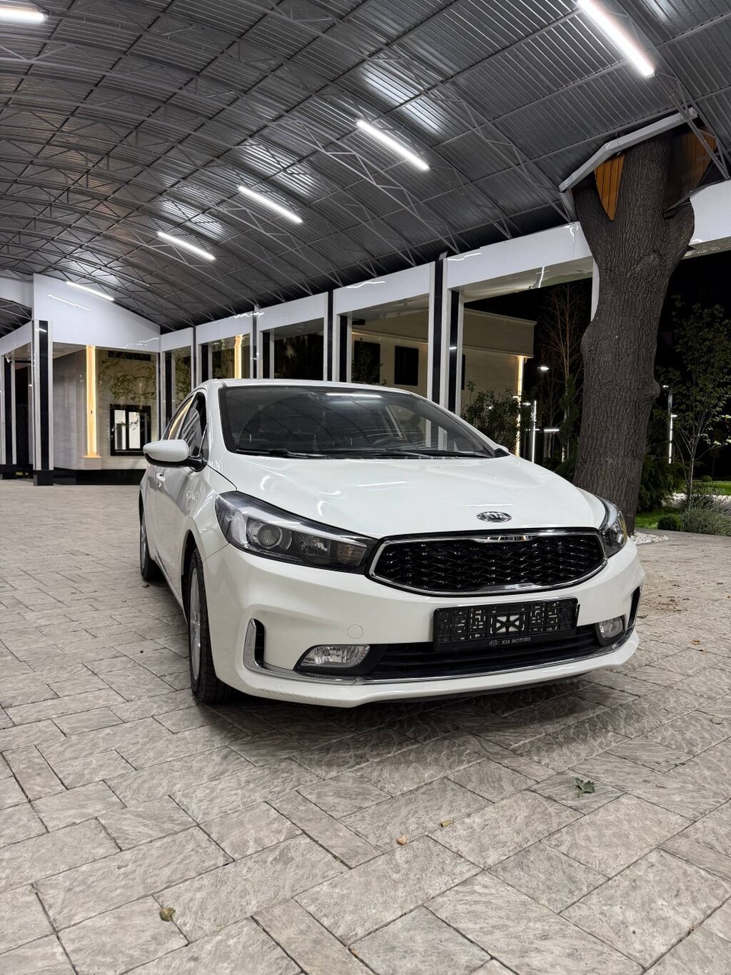 Kia Cerato: 2019 г., Автомат, Бензин, Седан: фото 4