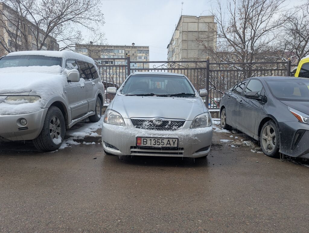 Toyota Corolla: 2003 г., 1.5 л, Автомат, Бензин, Хэтчбэк: фото 1