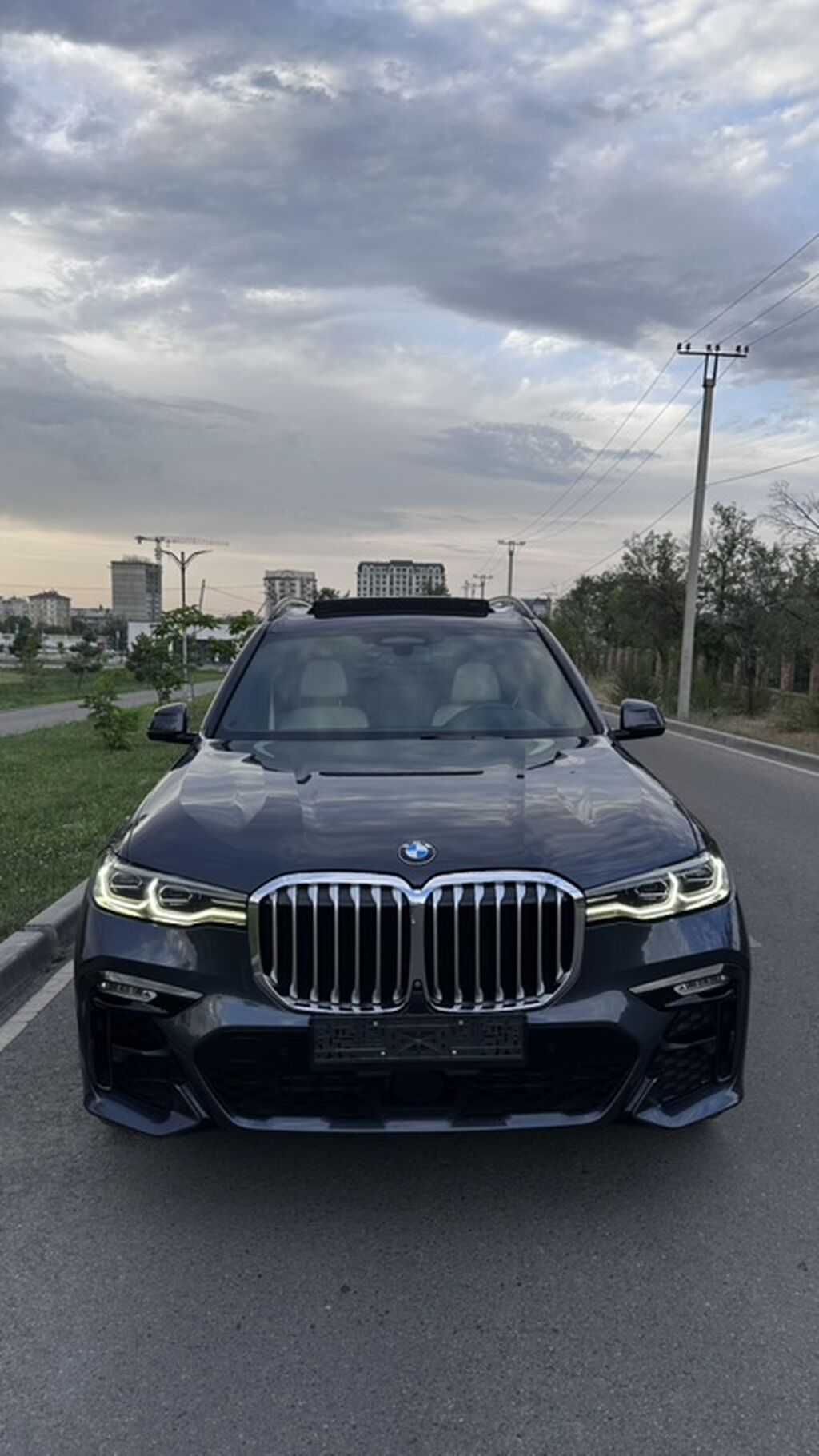 BMW X7: 2019 г., 3 л, Автомат, Бензин, Внедорожник: фото 3