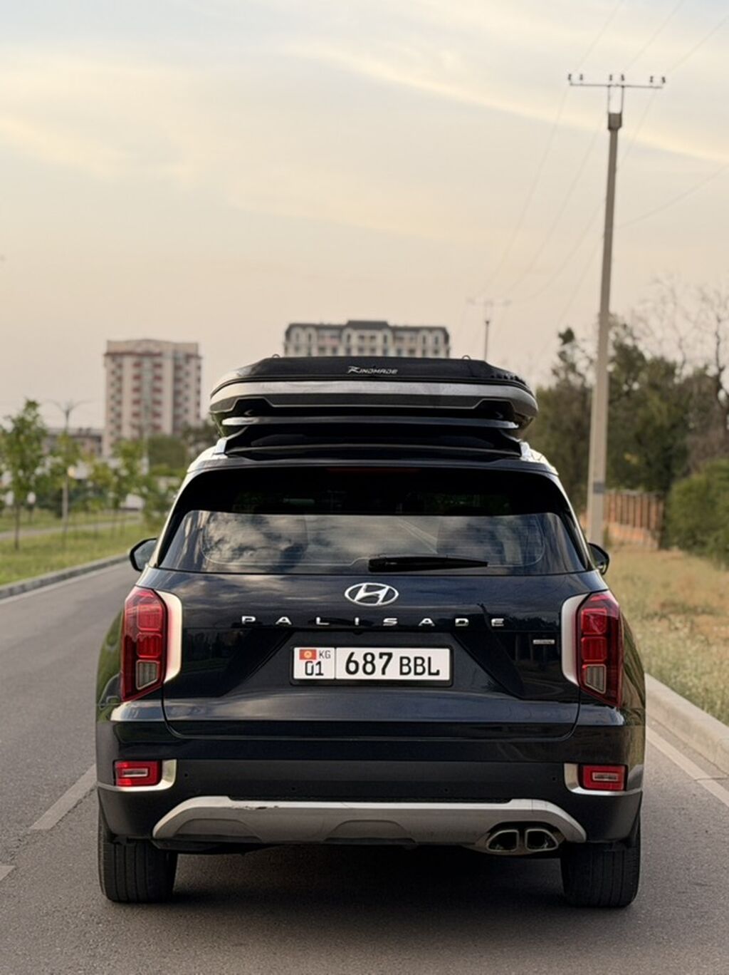Hyundai Palisade: 2020 г., 2.2 л, Автомат, Дизель, Кроссовер: фото 6