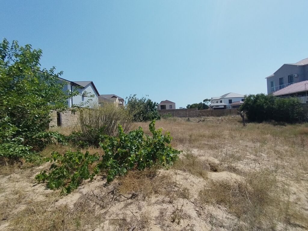 20 sot, Tikinti, Makler, Kupça (Çıxarış)