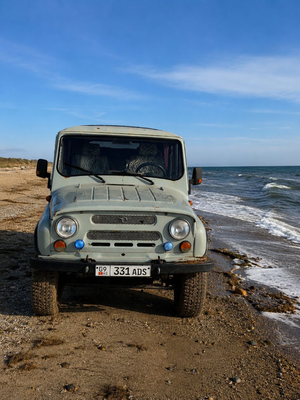 УАЗ 469: 1990 г., 2.9 л, Механика, Дизель, Внедорожник: фото 3