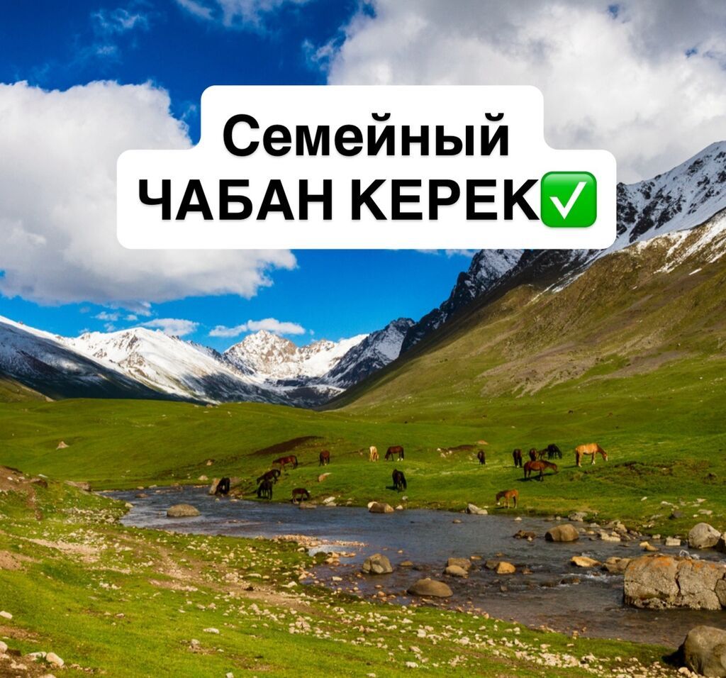 Требуется Пастух, Оплата: Ежемесячно, Питание