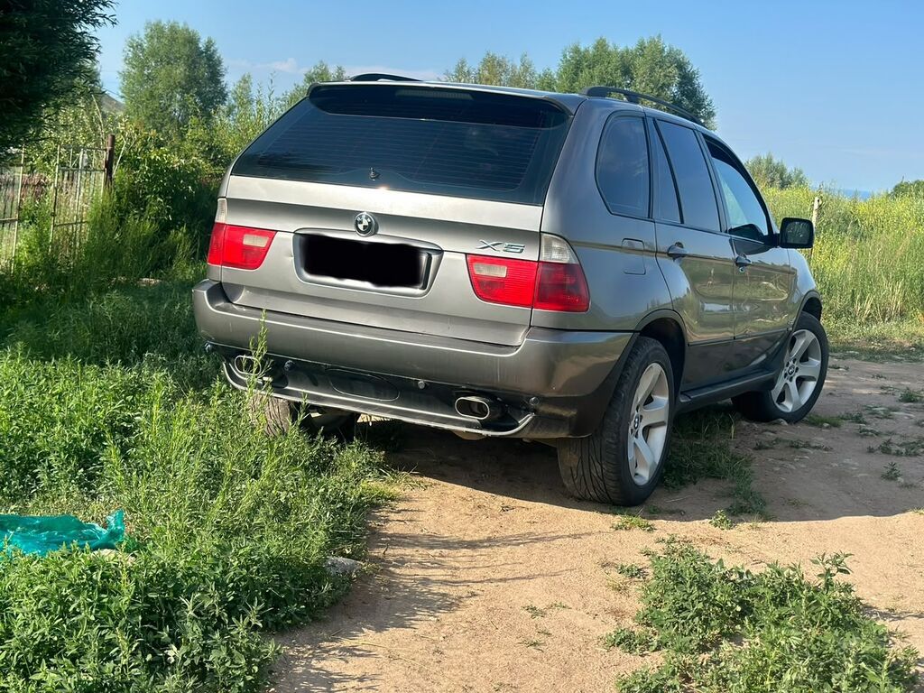 BMW X5: 2004 г., 3 л, Автомат, Дизель, Кроссовер: фото 2