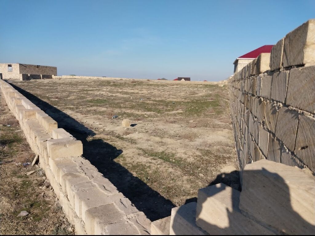 7 sot, Tikinti, Kupça (Çıxarış)