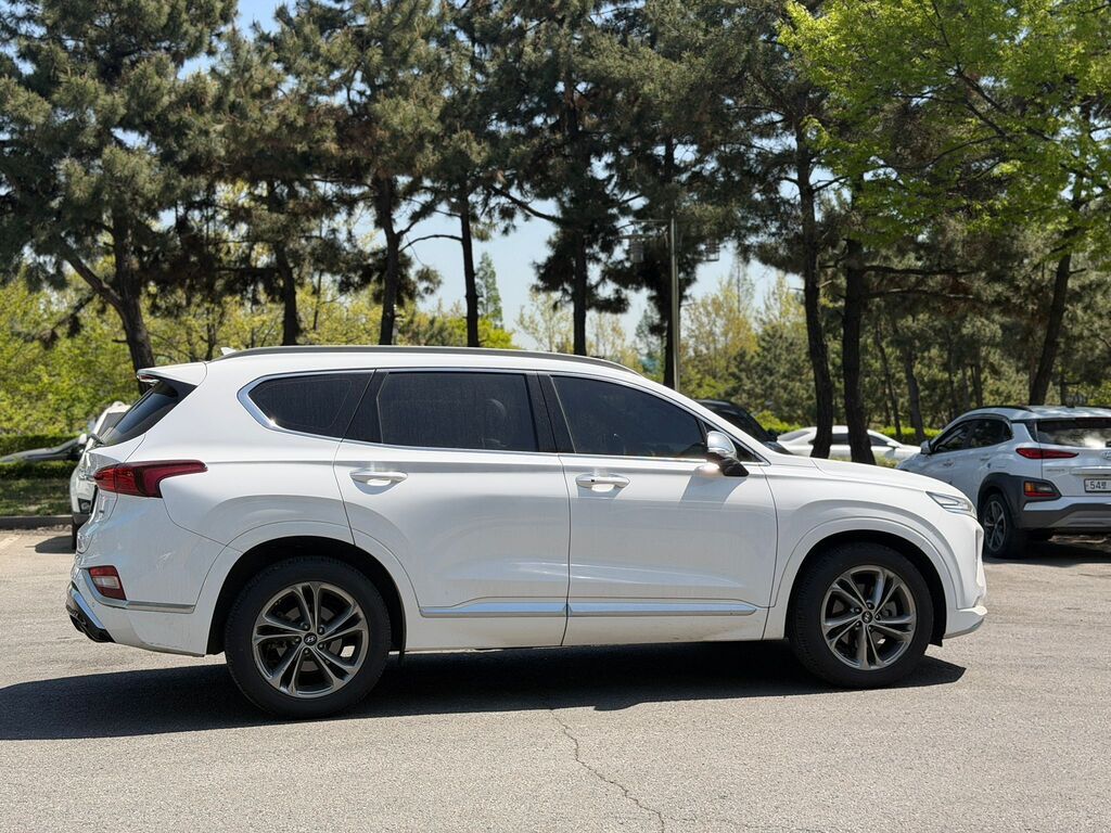 Hyundai Santa Fe: 2019 г., 2 л, Автомат, Бензин, Кроссовер: фото 6