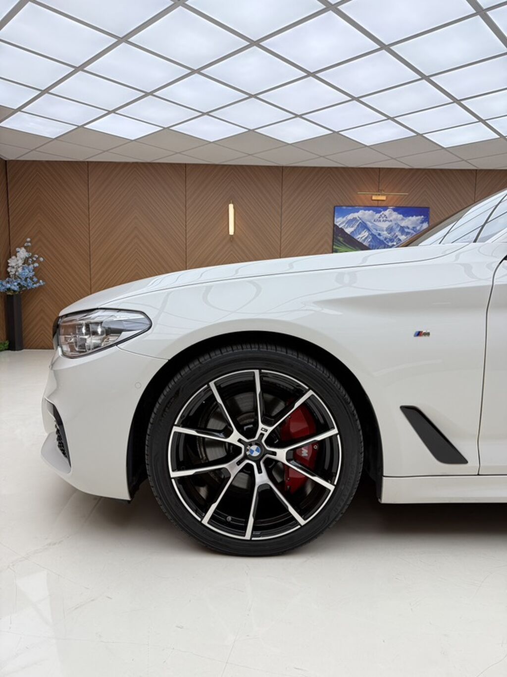 BMW 520: 2020 г., 2 л, Автомат, Бензин, Седан: фото 7