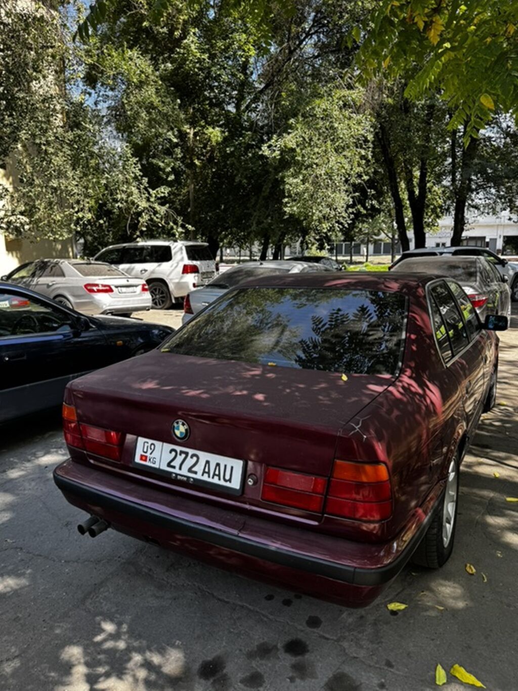 BMW 5 series: 1991 г., 2.5 л, Механика, Бензин, Седан: фото 3