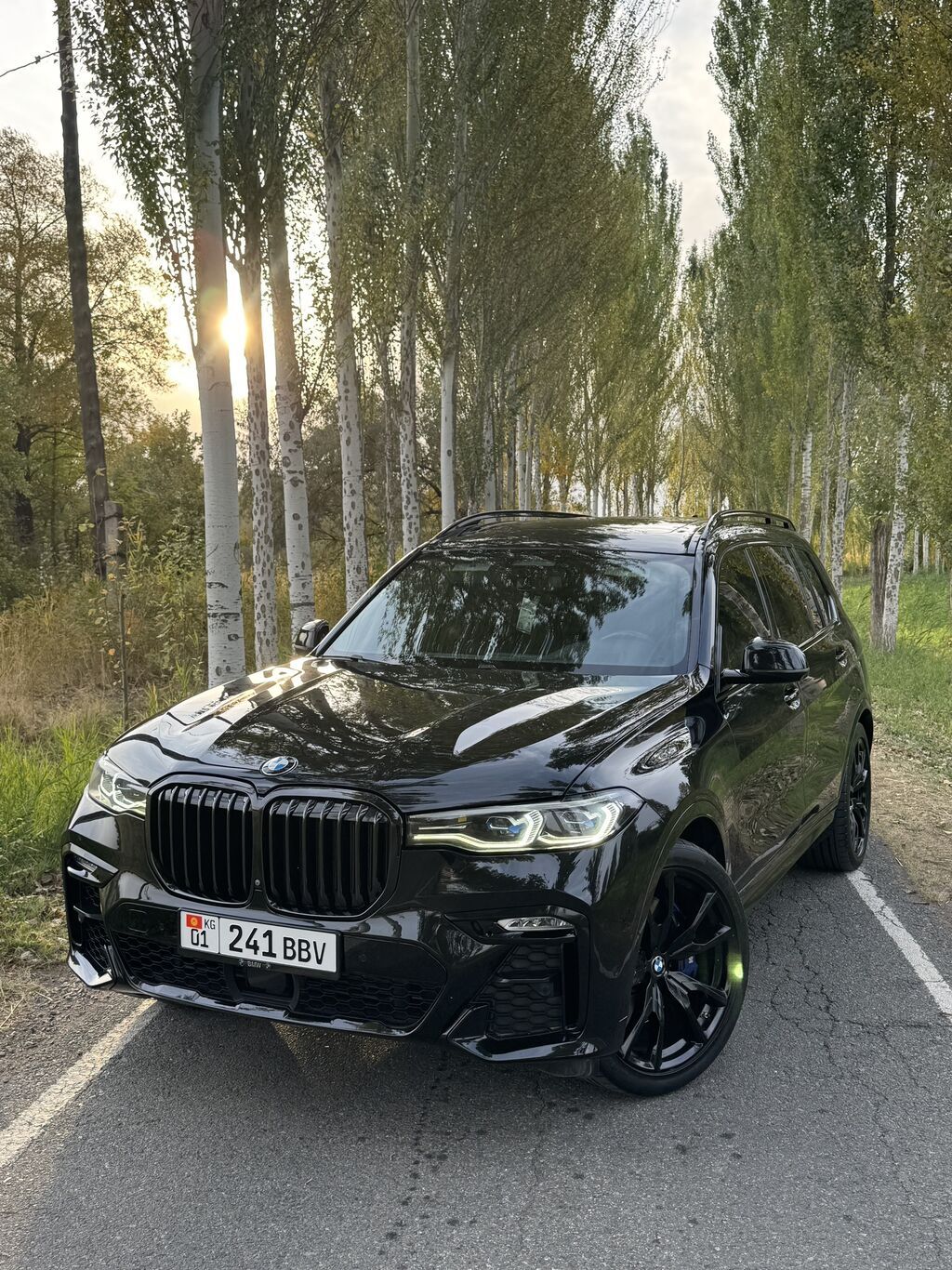 BMW X7: 2019 г., 4.4 л, Бензин, Внедорожник: фото 1
