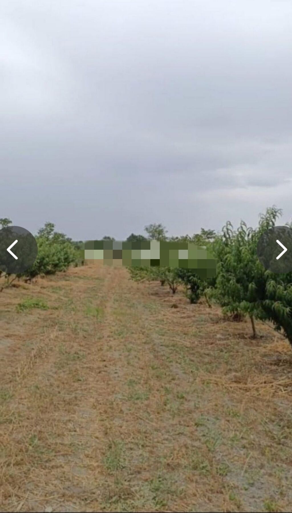 127 sot, Kənd təsərrüfatı, Mülkiyyətçi, Kupça (Çıxarış), Texniki pasport