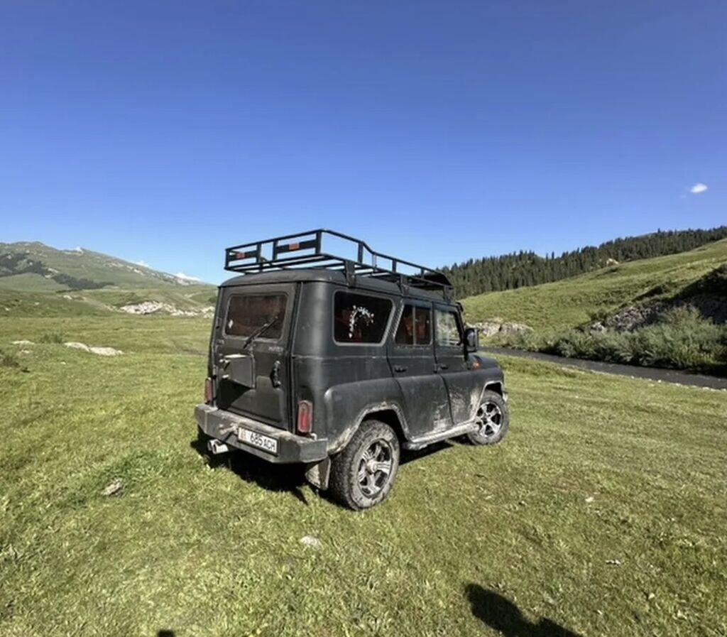 УАЗ Hunter: 2010 г., 2.9 л, Механика, Бензин, Универсал: фото 2
